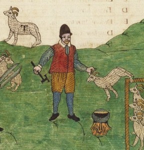 A shepherd shearing sheep. Trevilian Miscellaney, 1602